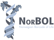 NorBOL